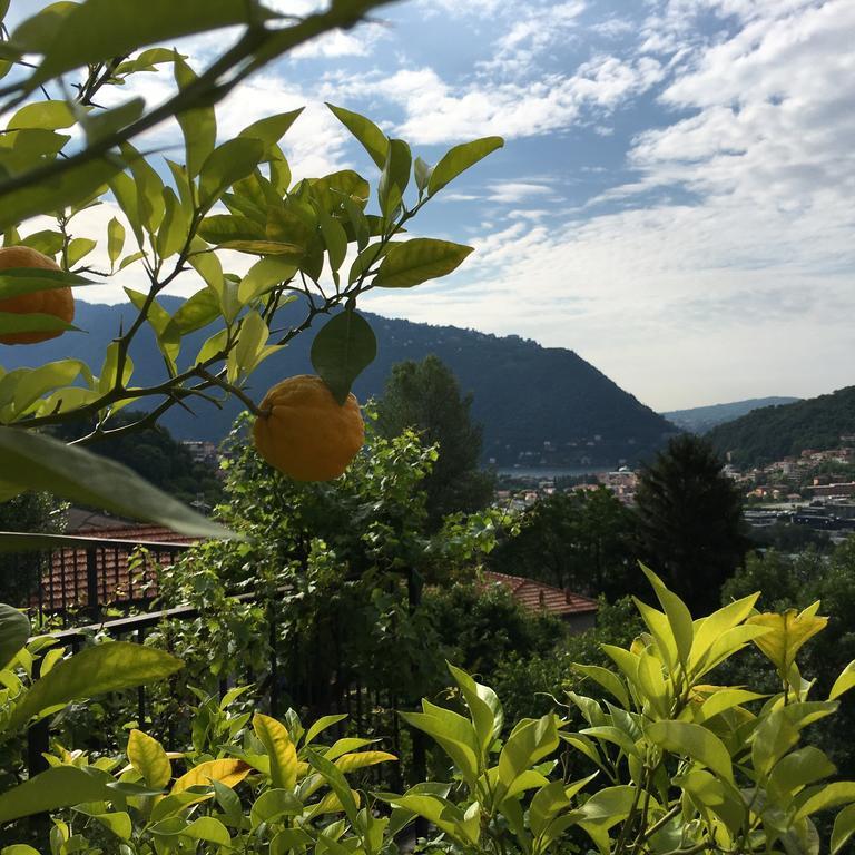 Country House Cozzena Maslianico Bagian luar foto